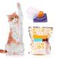 Healthy Cat Snacks