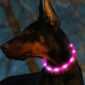 Safety Dog Led Collar