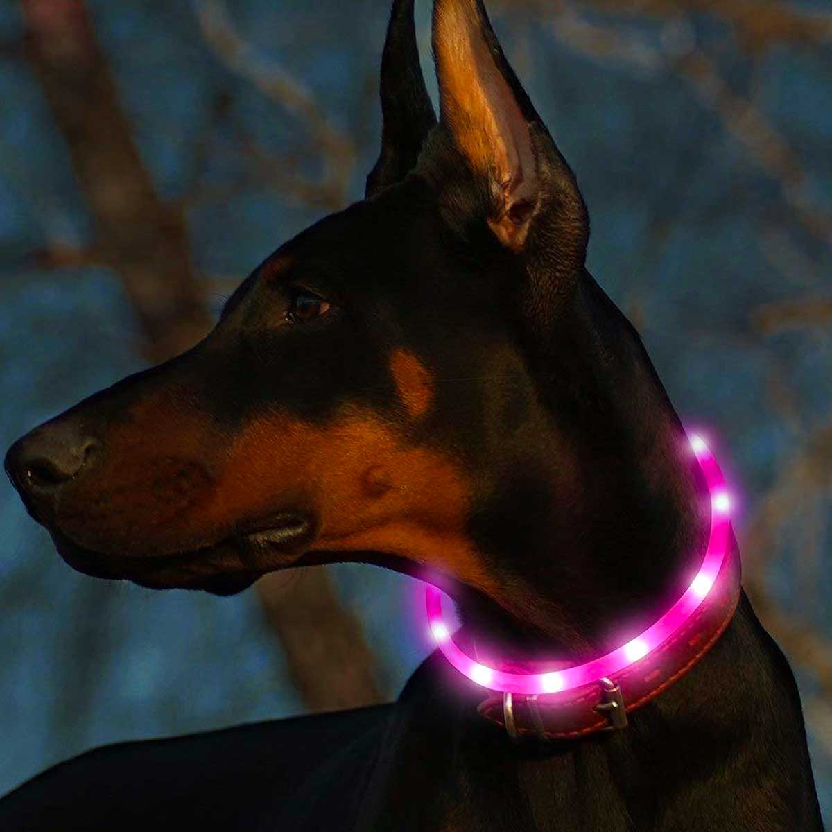 PetMeTop® Silicone LED Pet Collar - Glowing Pet Safety Collar Silicone Cuttable Light Up Dog Collar Lights for Night Dog Walking